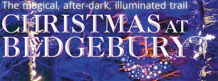 Christmas At Bedgebury – The magical after-dark illuminated trail...