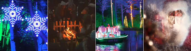 Christmas At Bedgebury – The magical after-dark illuminated trail...
