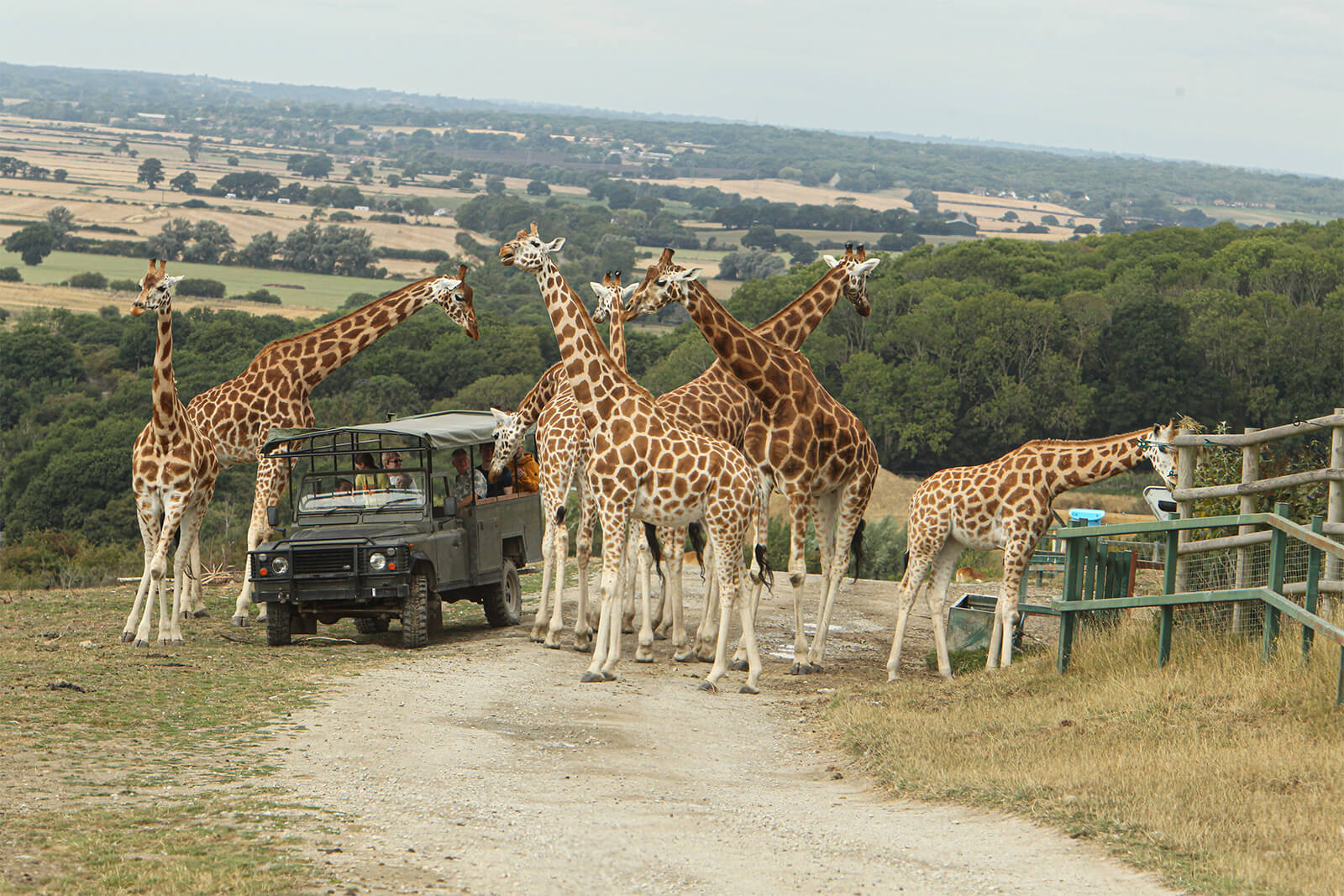 Win Tickets to Port Lympne
