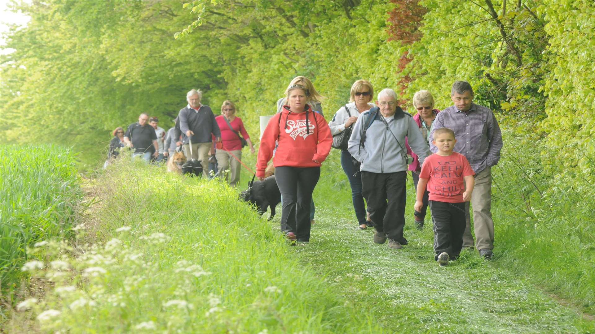 Heart of Kent Hospice Bluebell Walk