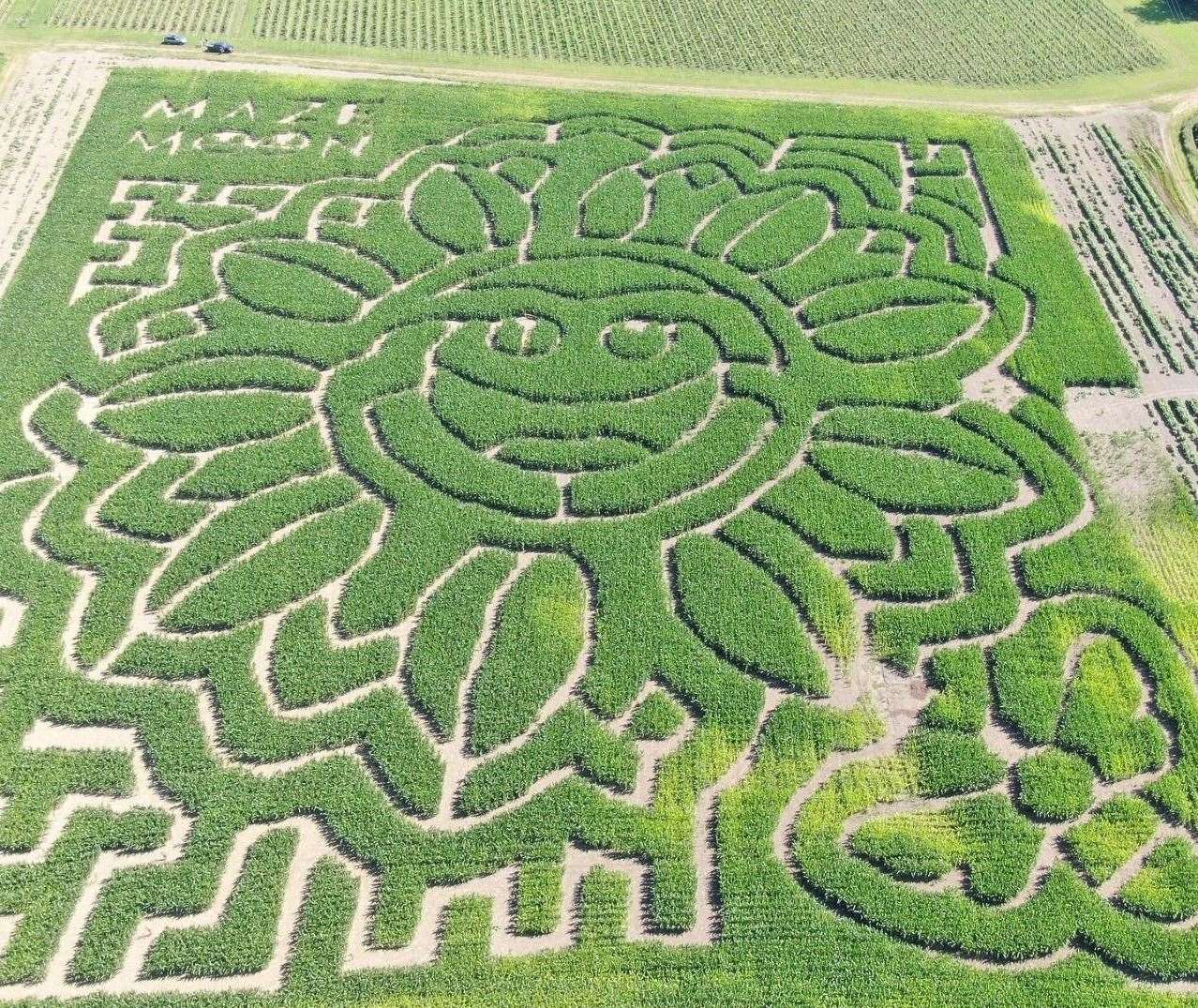 A giant sunflower can be seen from the air in Maidstone