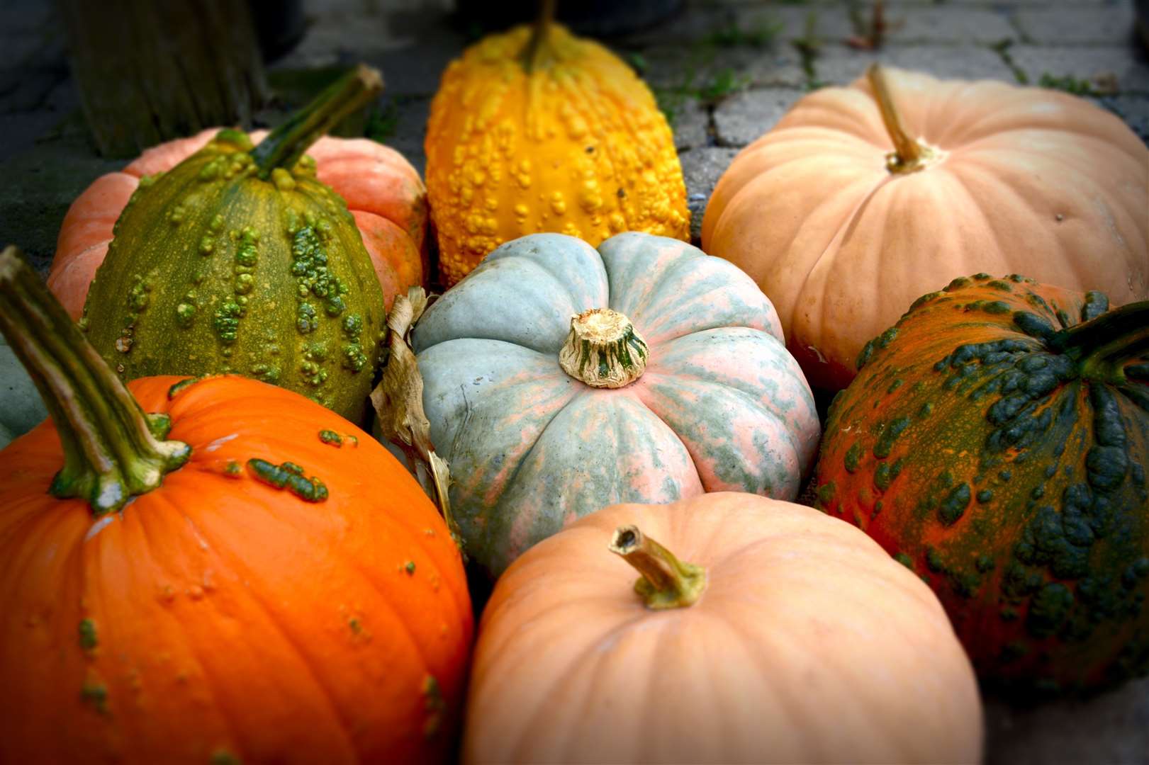 Pick up a pumpkin in time for Halloween