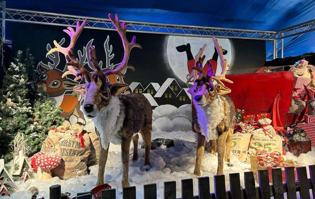 There will also be craft activities, live shows, Christmas decorations and more. Picture: Kent Life