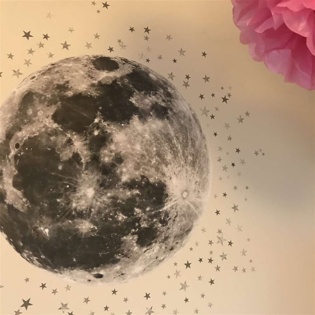 We have a moon theme in Luna's nursery which we love