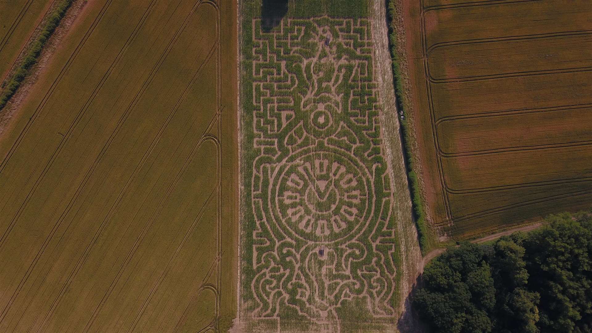 The Maize Maze from above at Penshurst Place