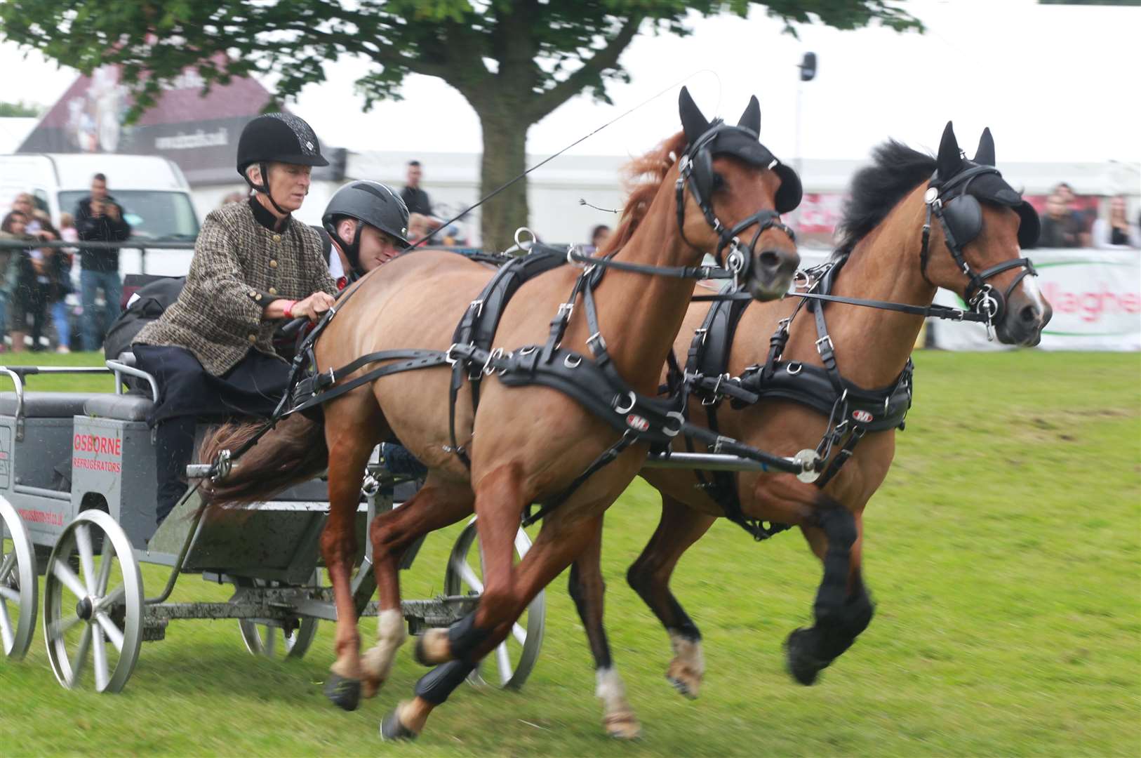 A scurry driving competition at a previous Kent County Show Picture: John Westhrop