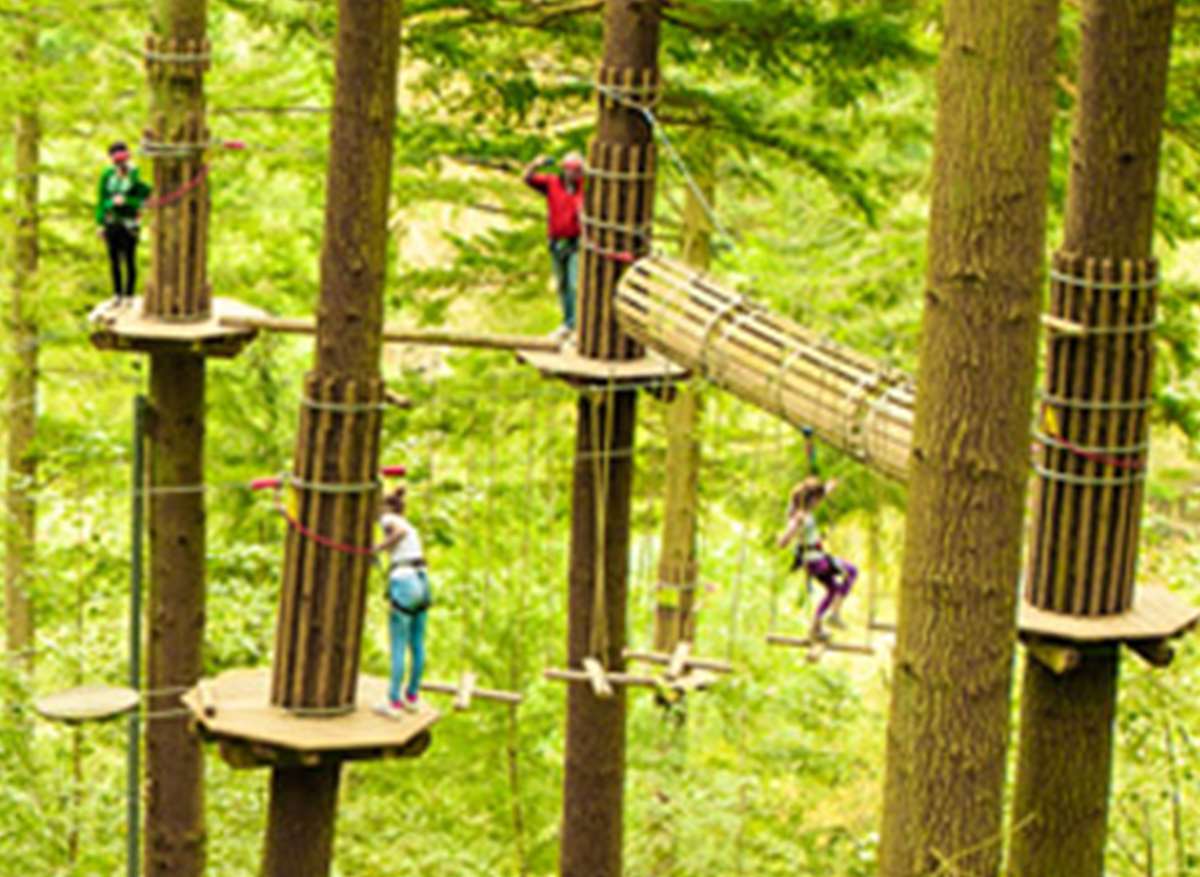 Outdoor Children S Activities In Kent Outdoor Children S Activities In Kent