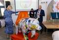 New bear sculpture trail inspired by children’s book unveiled
