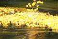 River festival returns with duck race and free boat tours