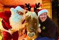 Father Christmas to visit the farm over festive period