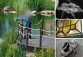 Parents urged to warn children off carrying catapults this summer