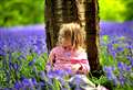 Catch the bluebells in Kent this spring 