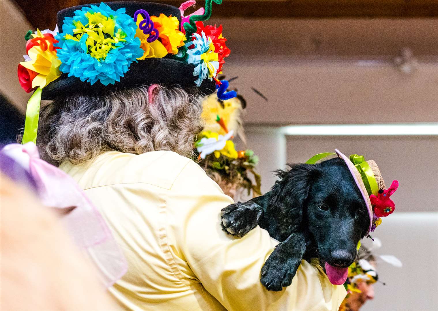 There will even be a prize for the best hat on a dog!