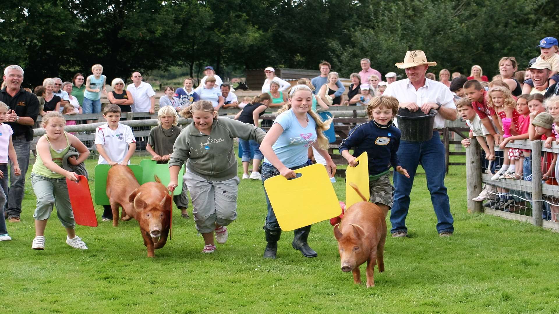 Pig racing at the Rare Breeds Centre