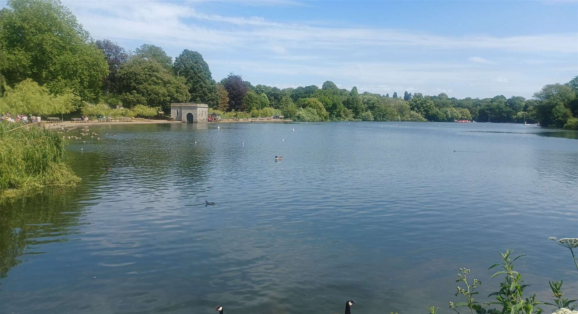 A view of the lake at Mote Park, Maidstone