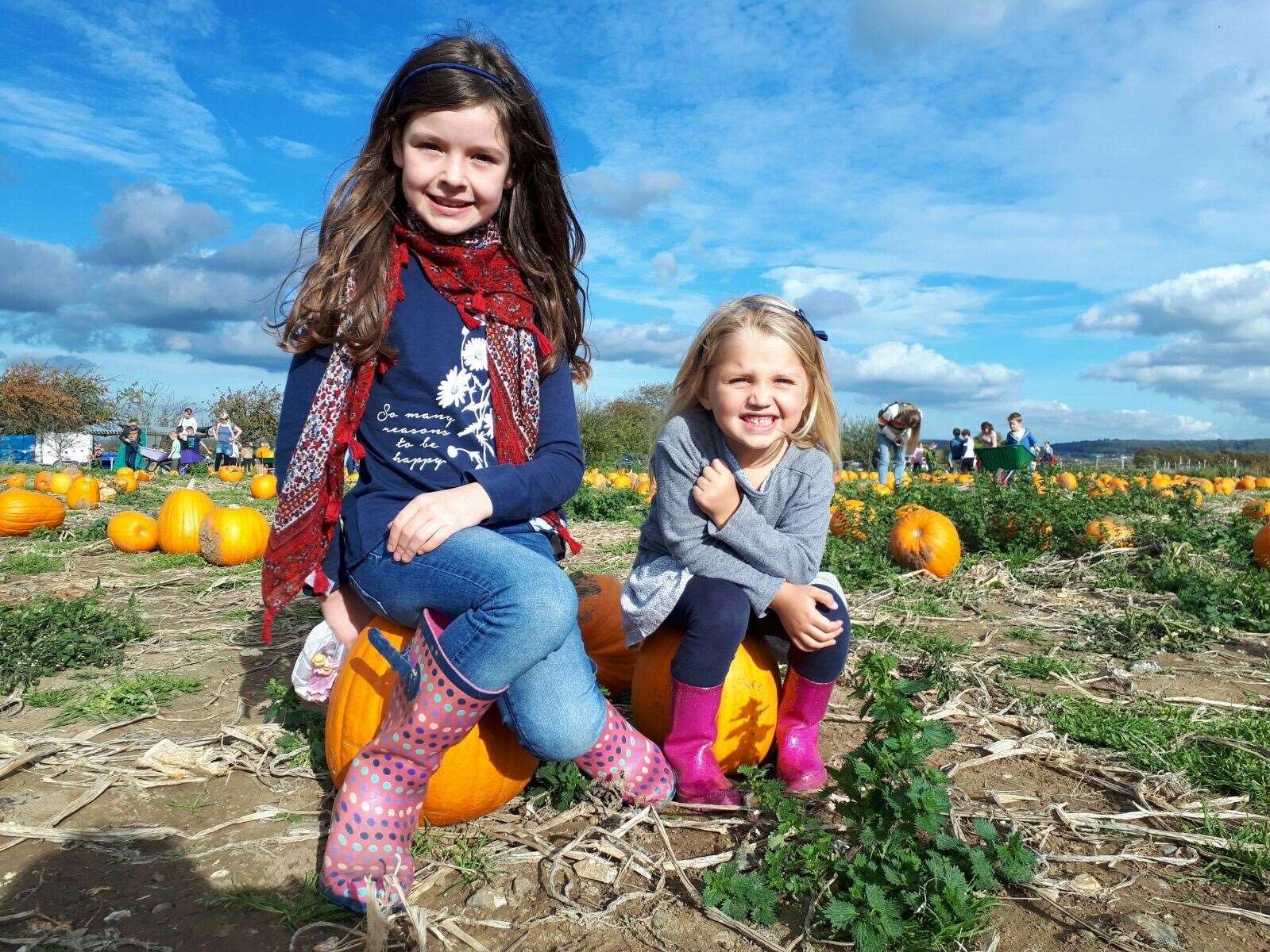 Saffery Farm near Faversham