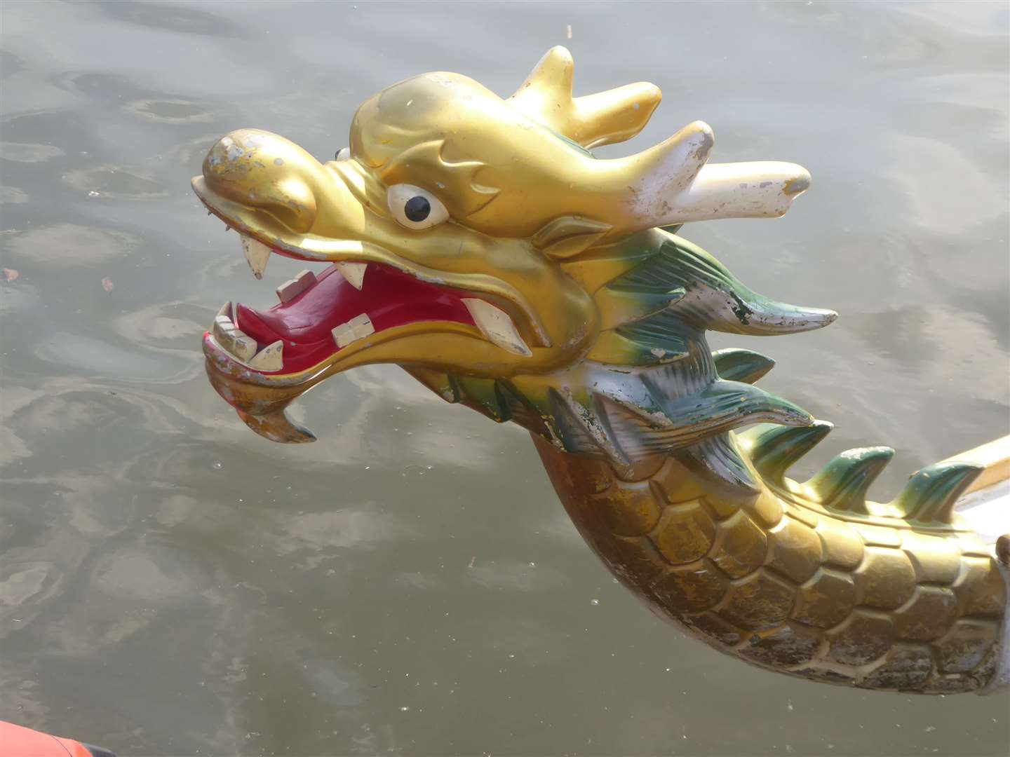 Watch the dragon boat racing as part of weekend events at the food festival