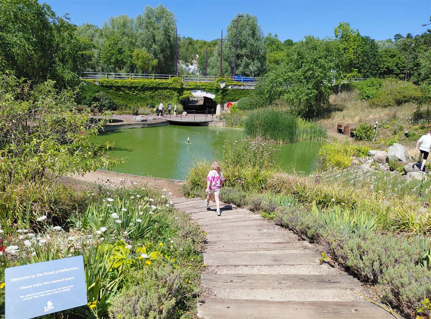 The reflection pond