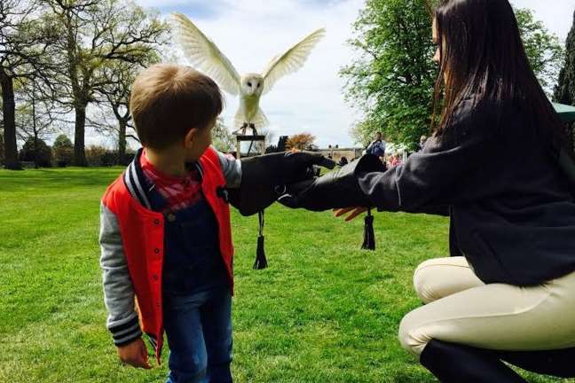 Falconry experiences are available for visitors