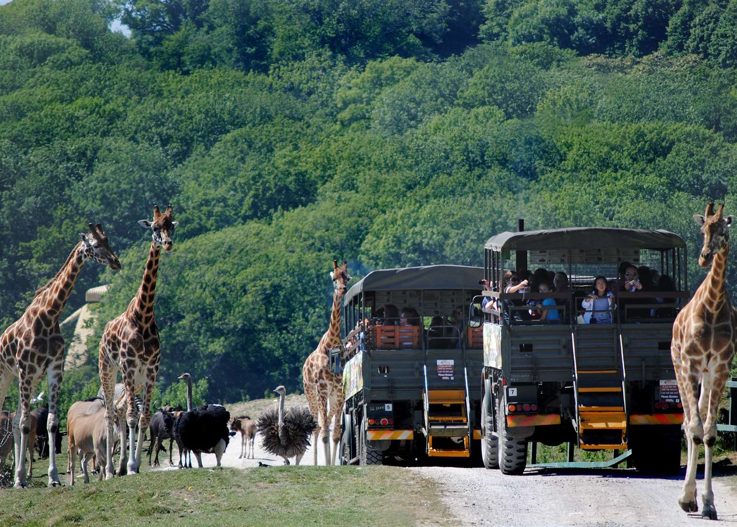 Port Lympne Reserve