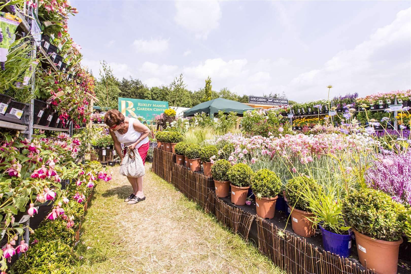 There will be flowers to view and purchase at the Kent County Show. Picture: Thomas Alexander