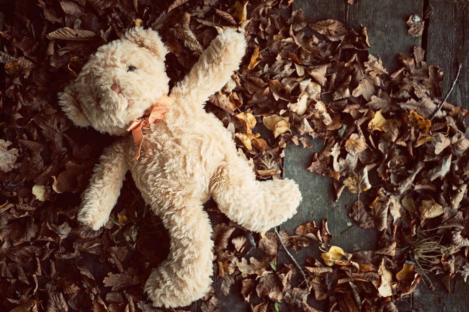 The most common items to lose are hats, jumpers and cuddly toys