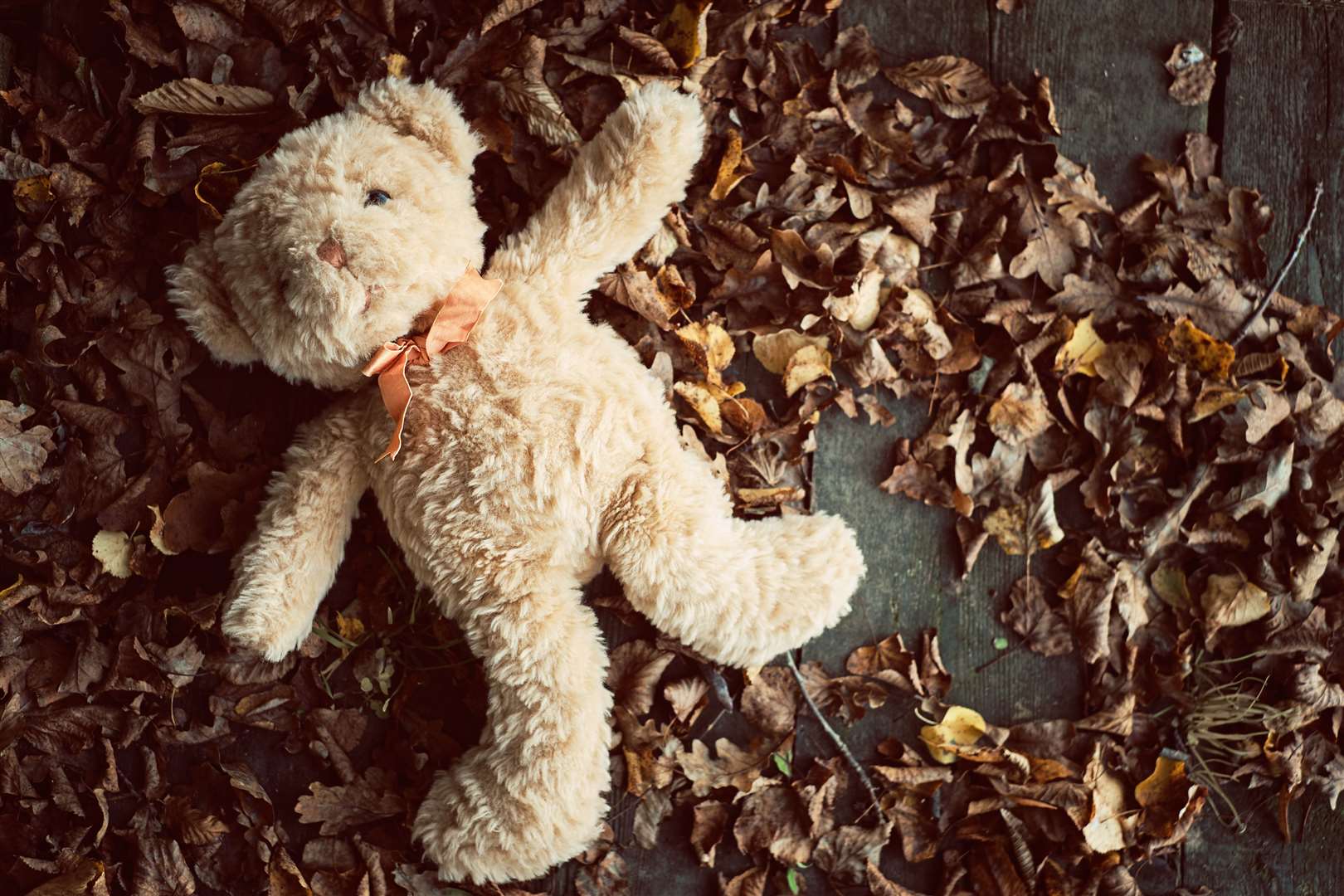 The most common items to lose are hats, jumpers and cuddly toys