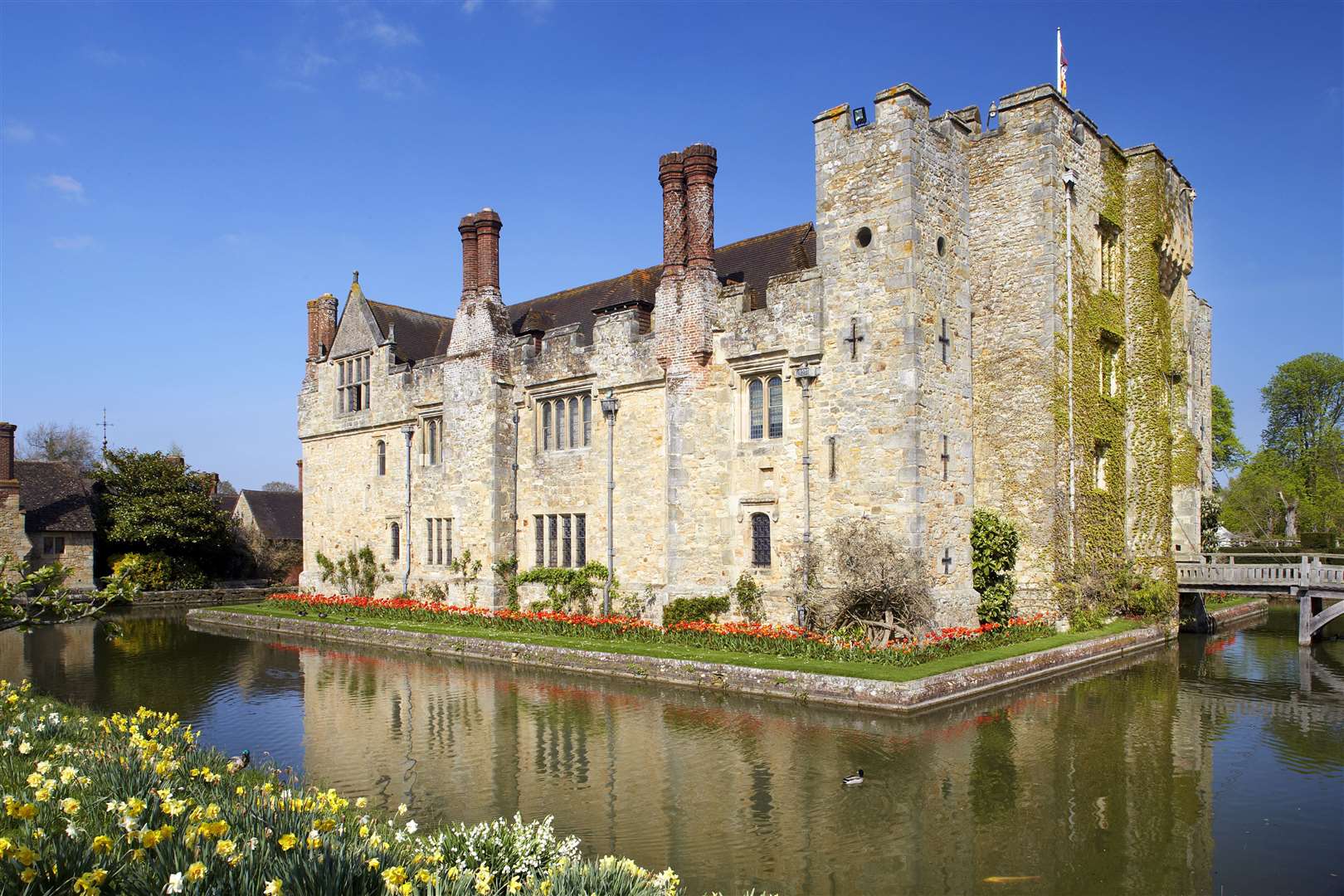 Daffodils outside the walls of Hever Castle. Picture: Hever Castles and Gardens (55092574)