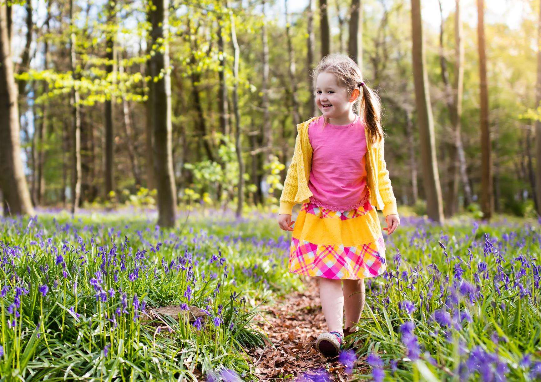 Enjoy getting out and about this May half term with National Trust activities