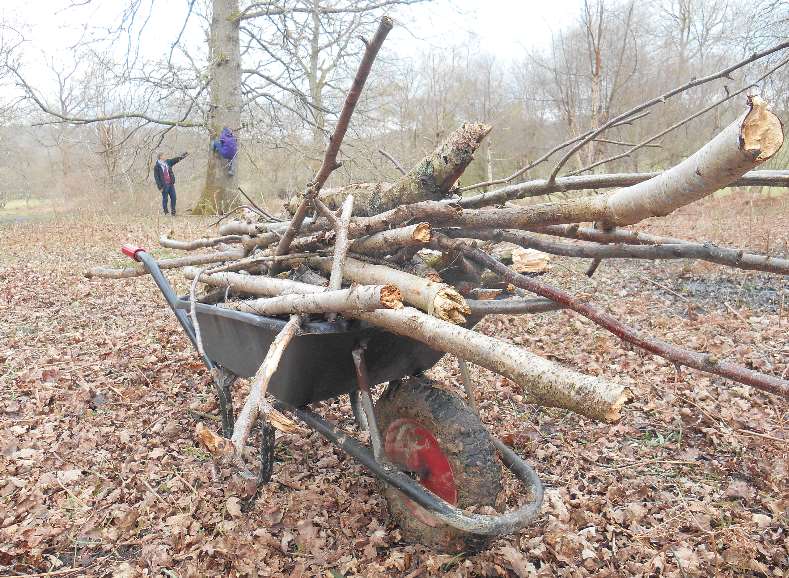 If you want to light the camp fire you are free to explore the local woods to forage