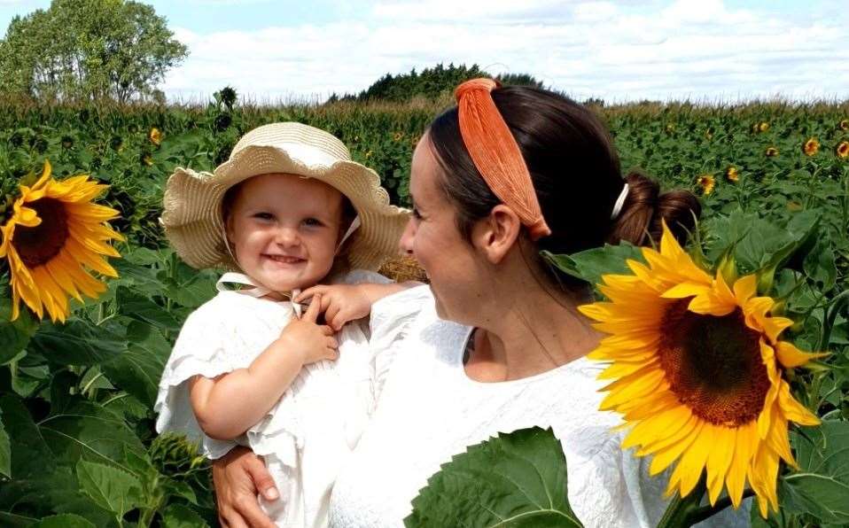 There are sunflower fields in Rainham and Maidstone