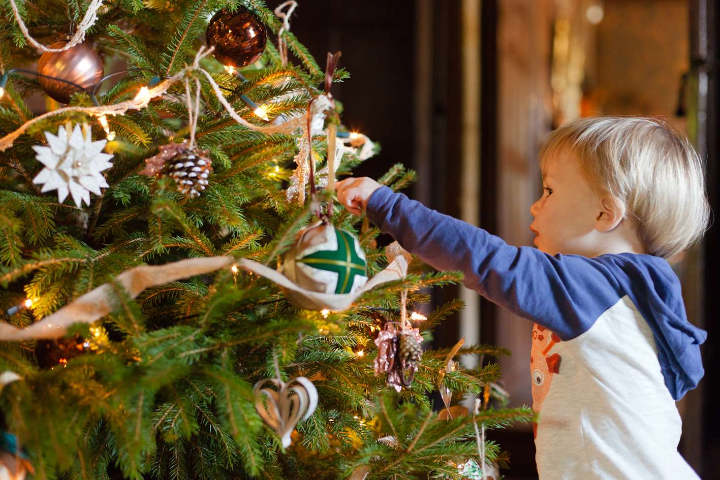 National Trust decorates its properties for Christmas ©National Trust Images / Megan Taylor