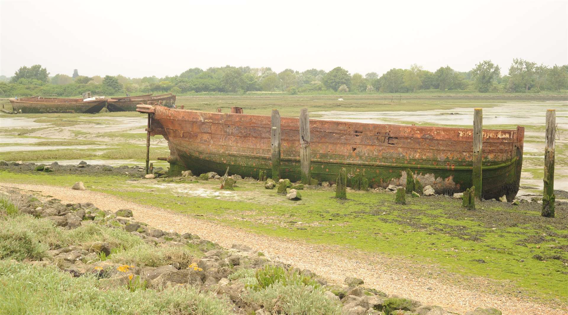 Riverside Country Park, Lower Rainham Road, Gillingham.Horrid Hill area.Picture: Steve Crispe FM4357551 (44489951)