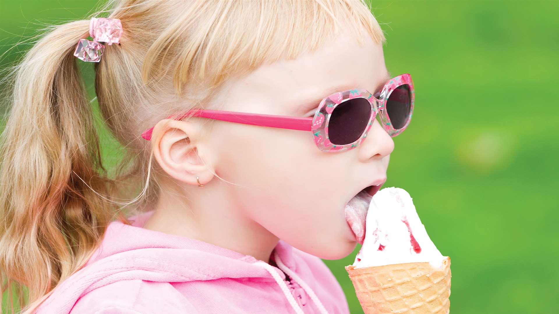 Kent Life Ice Cream Festival