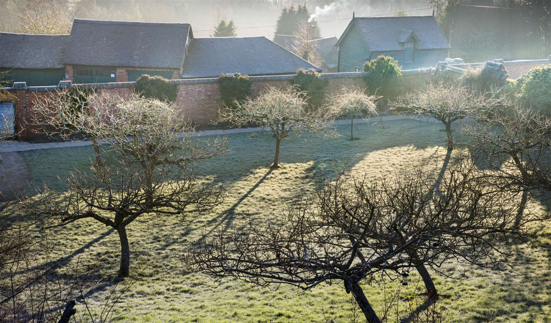 Visit the winter gardens at Chartwell and spot the snowdrops as you explore. Picture: ©National Trust Images / Andrew Butler