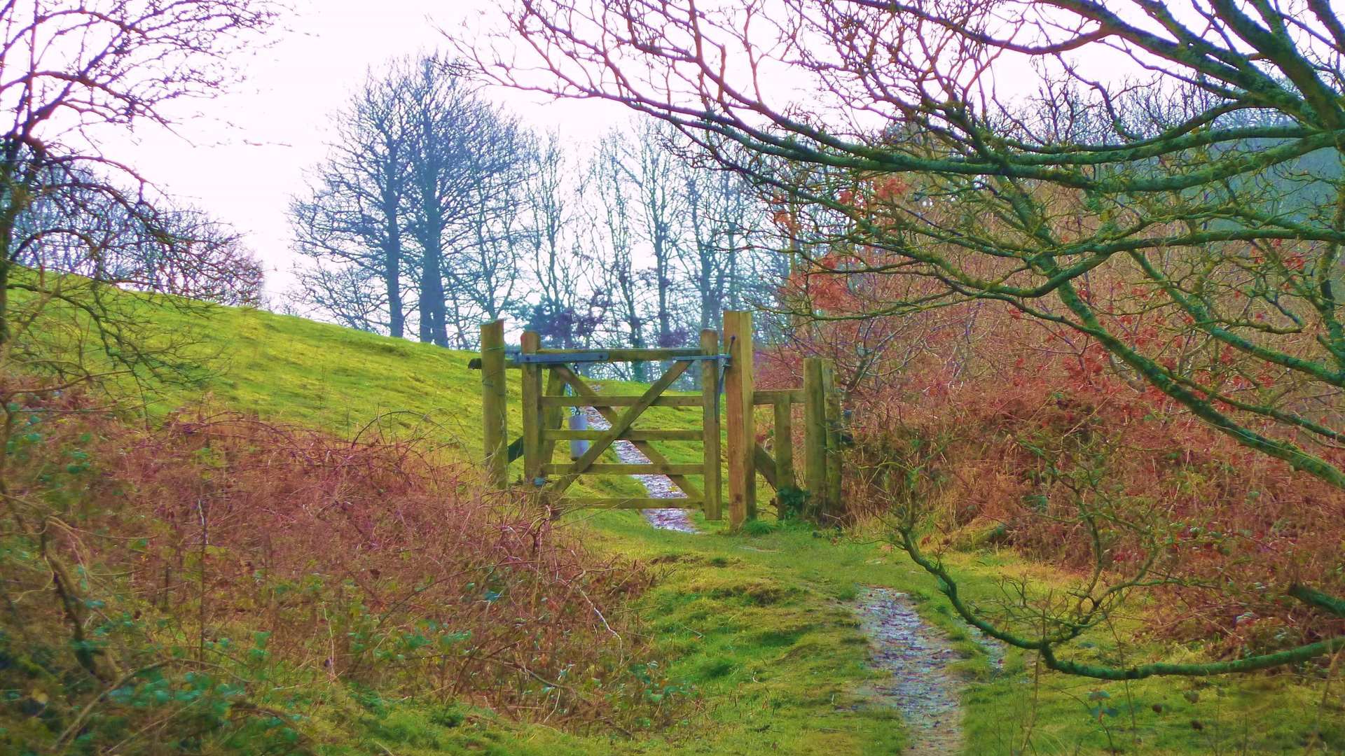 Brockhill Park, near Hythe