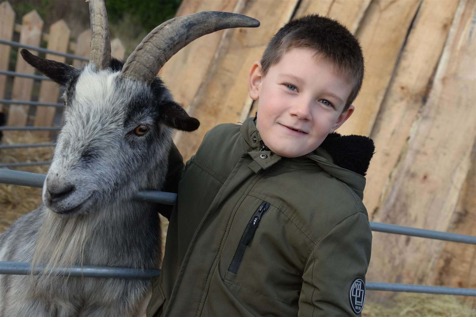 Joseph Skinner, seven meets Rammy at the Christmas on the Farm event at Rosewood Acres