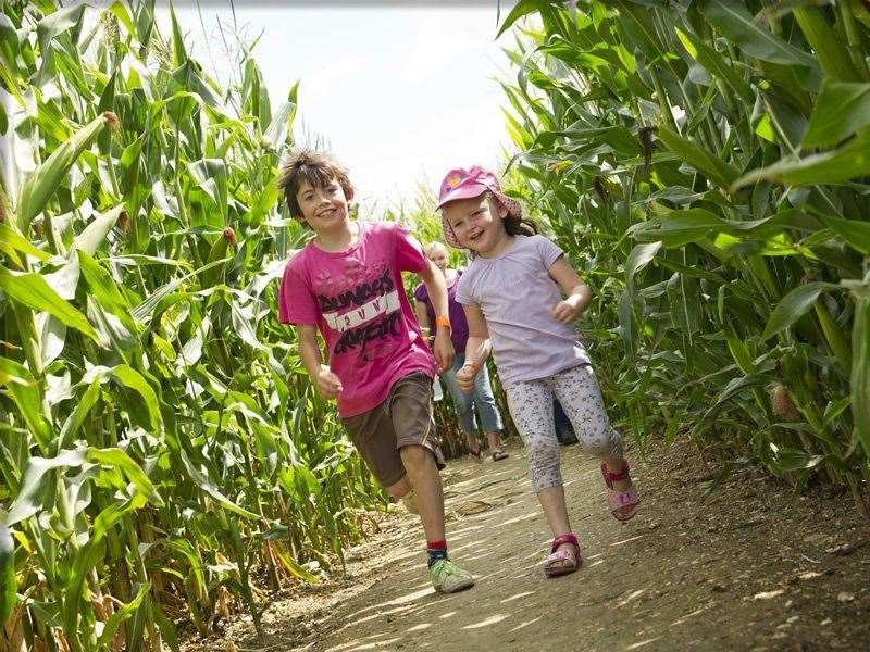 Outdoor mazes are popular outings in summer time