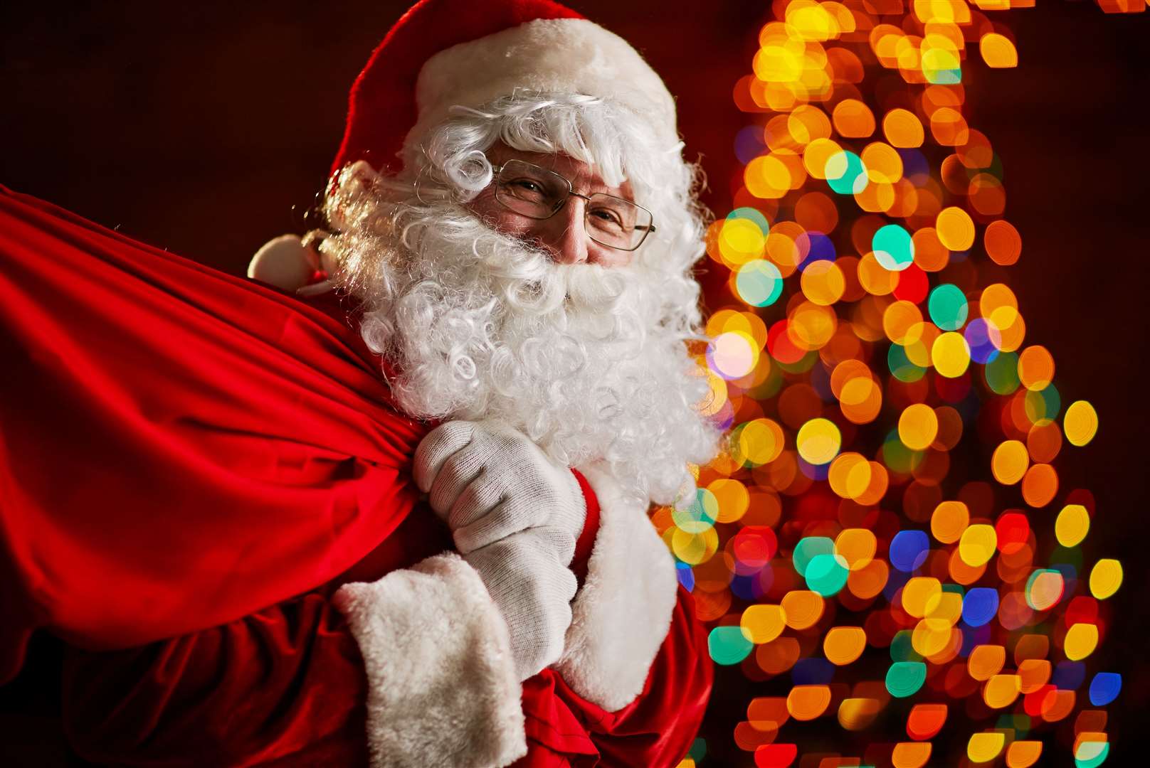 The new Port Lympne Illuminated light trail and Santa’s Grotto will make its debut this year. Picture: Port Lympne Reserve