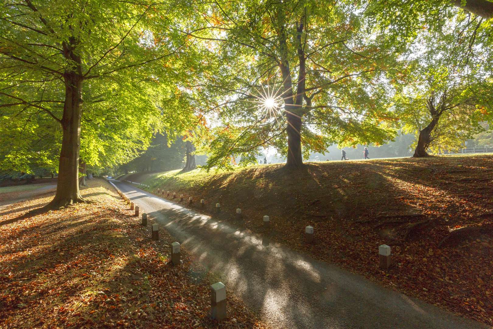 Mote Park in Maidstone is open but its cafe, play areas and toilets currently remain closed according to its website