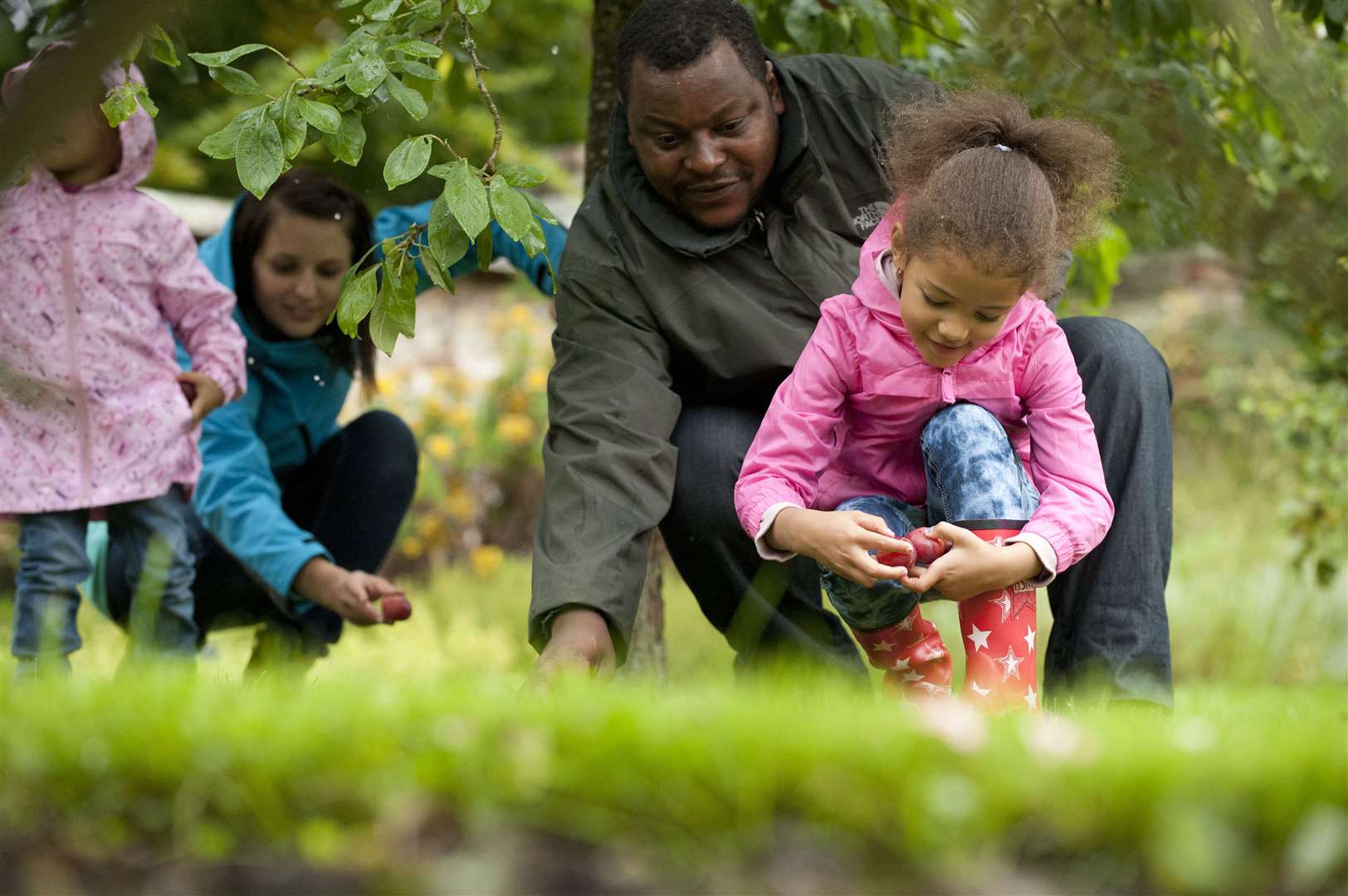 Take Dad for a day out with the National Trust