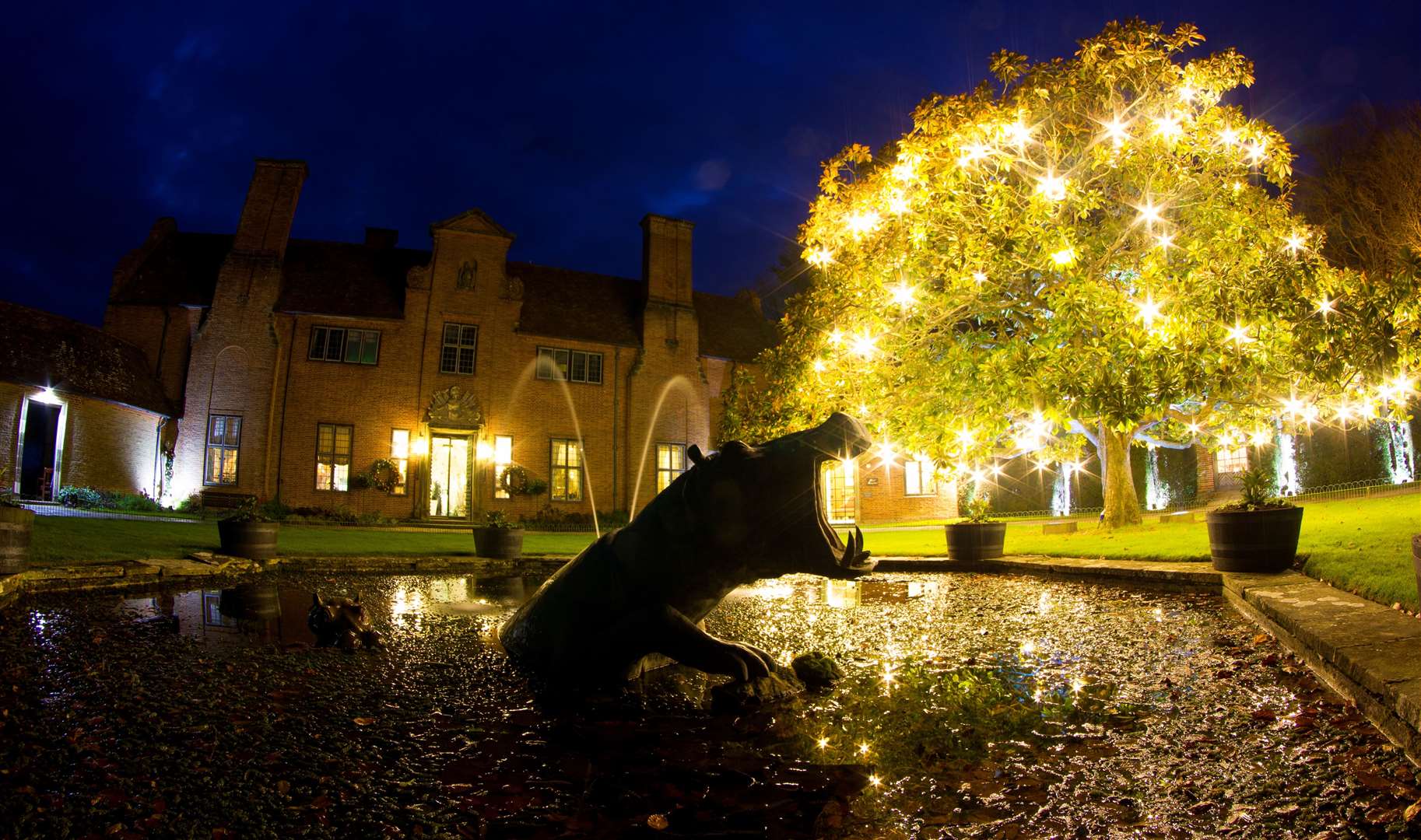 Port Lympne will be putting on a Christmas light trail for the first time in 2025. Picture: Port Lympne Reserve