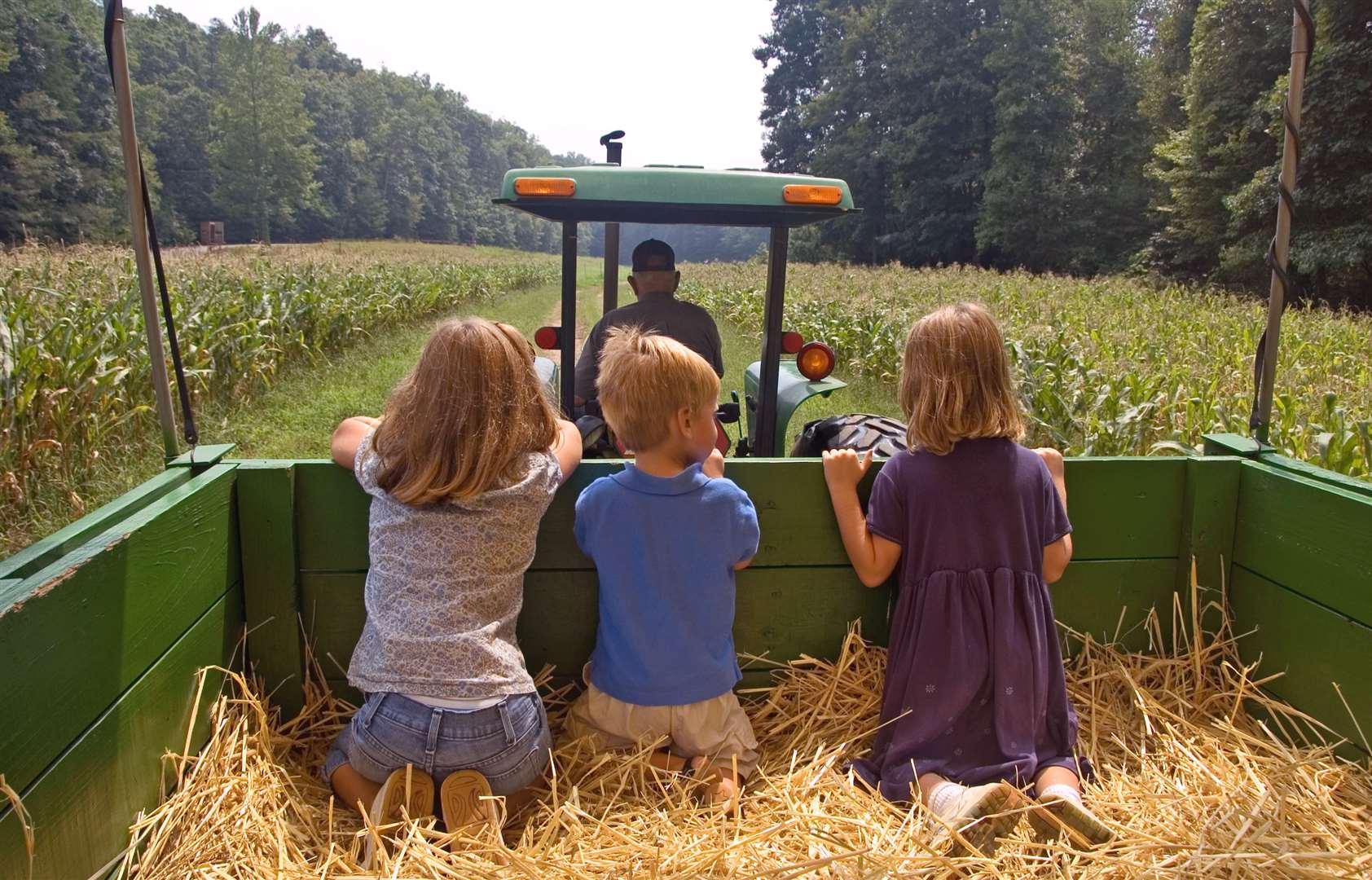 Could a tractor ride be on your family bank holiday list?