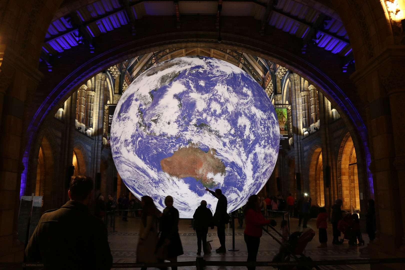 The art exhibition, Gaia, pictured here inside the Natural History Museum, is coming to Rochester Cathedral. Photo: Rochester Cathedral