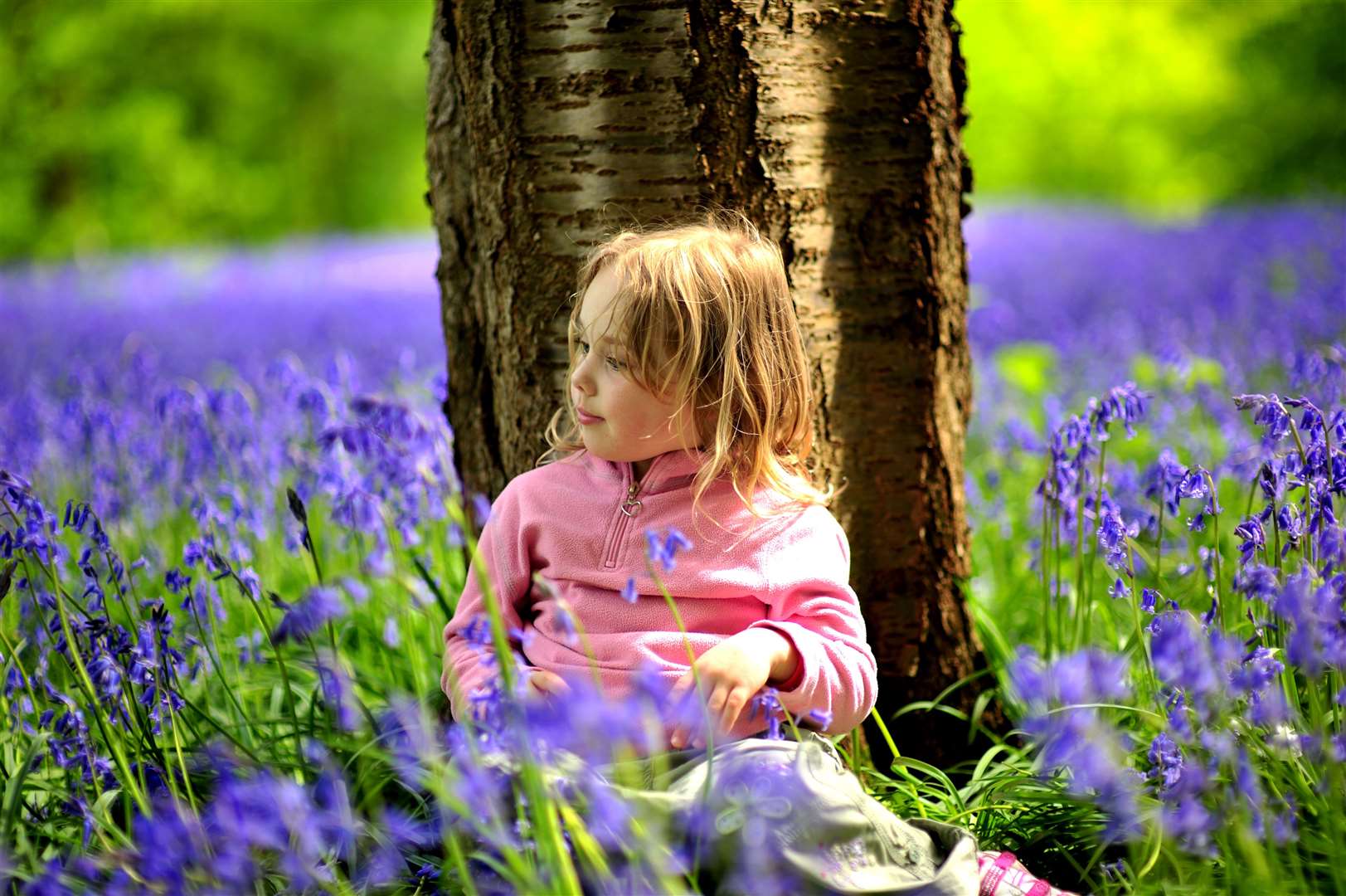 Enjoy a day out in the fresh air as the Bluebell Spectacular comes to life at Hole Park, near Tenterden. Picture: Supplied by Hole Park