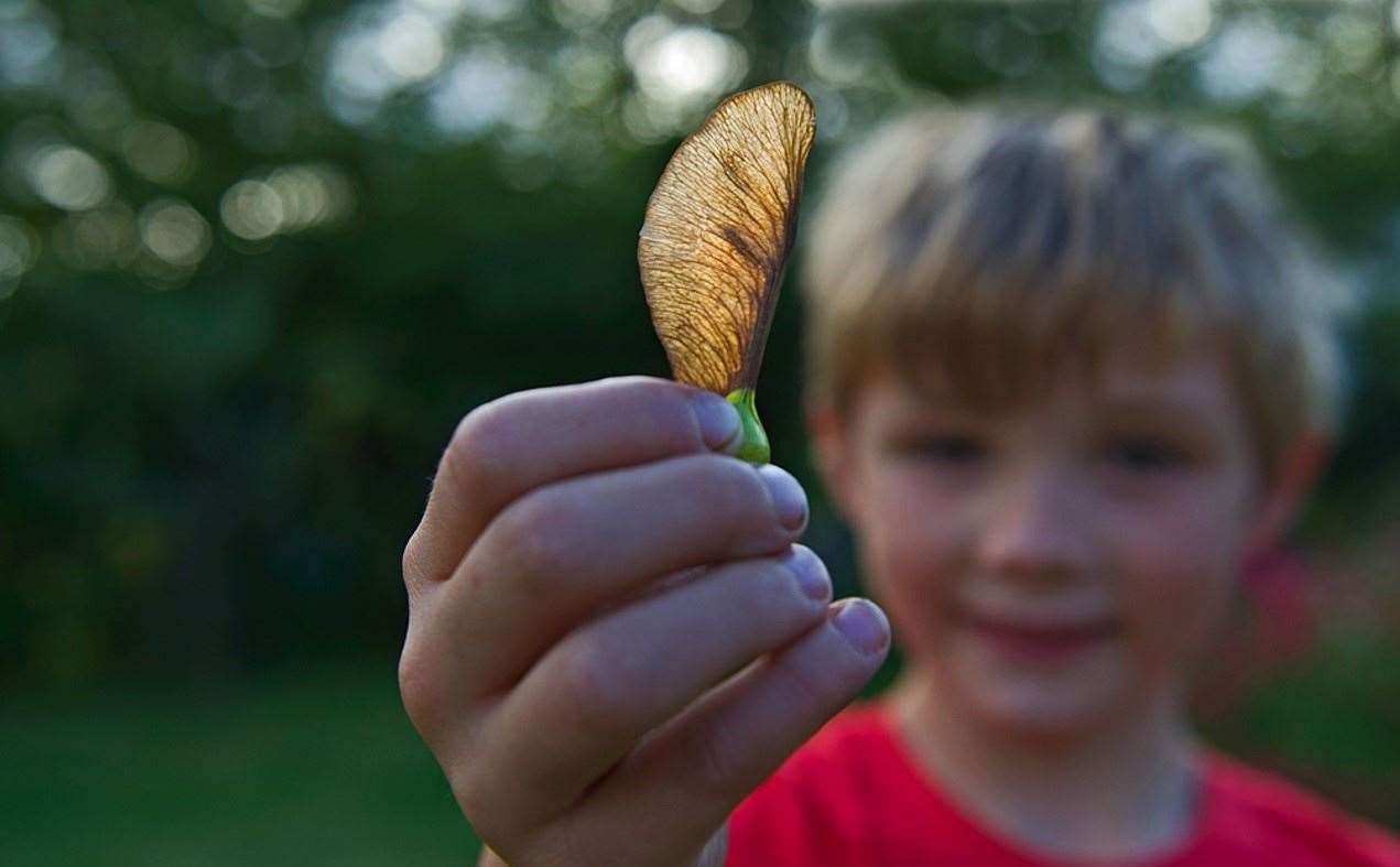 The Wildlife Trusts want to encourage us all to enjoy nature Picture: David Tipling