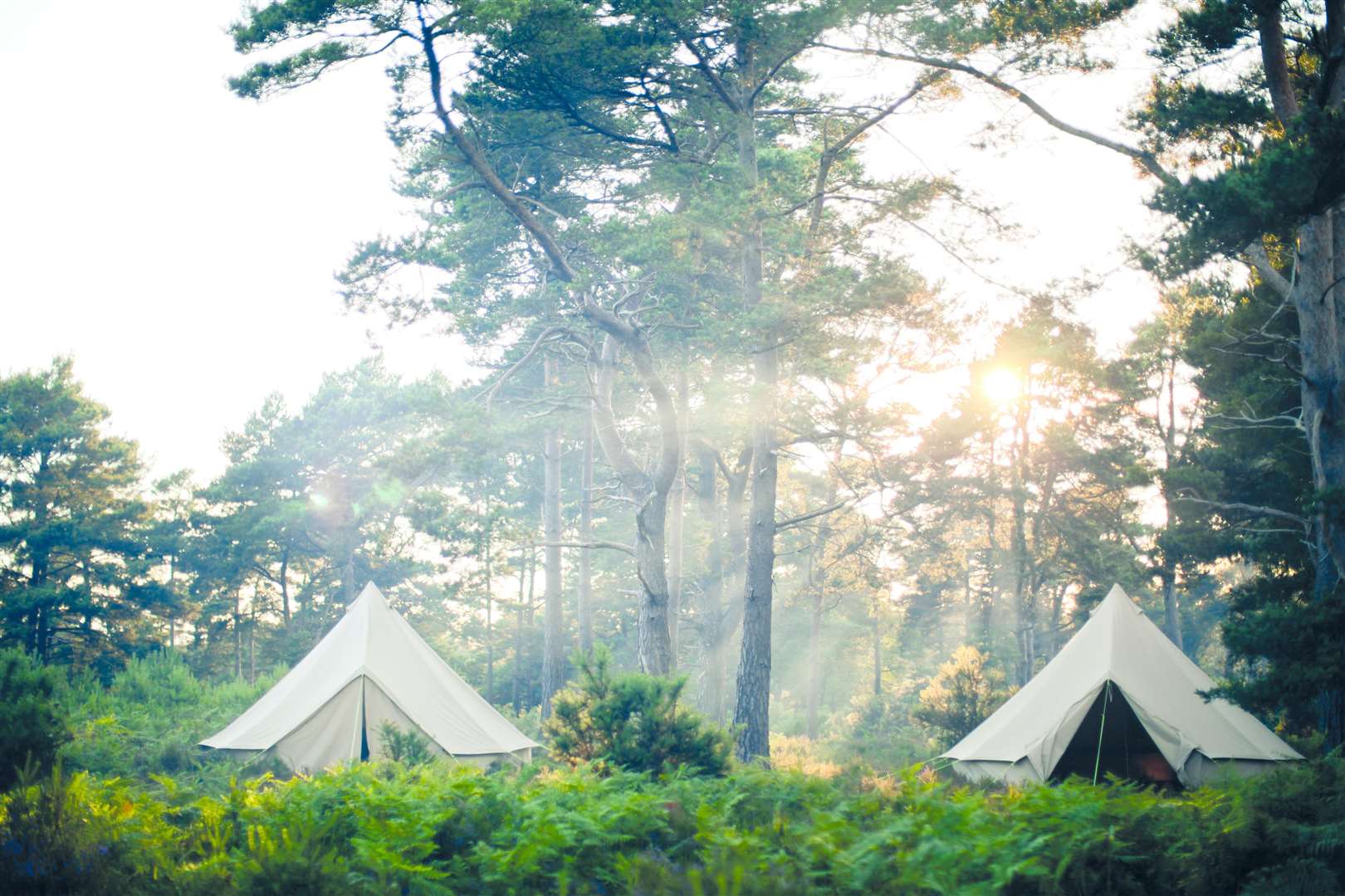 Camp Wilderness is a two-night, three-day, stay away from home
