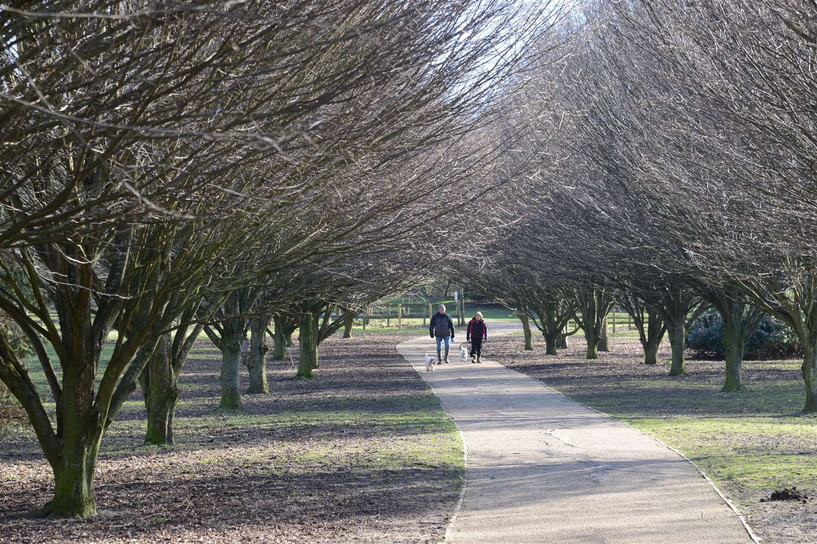 Cobtree Manor Park