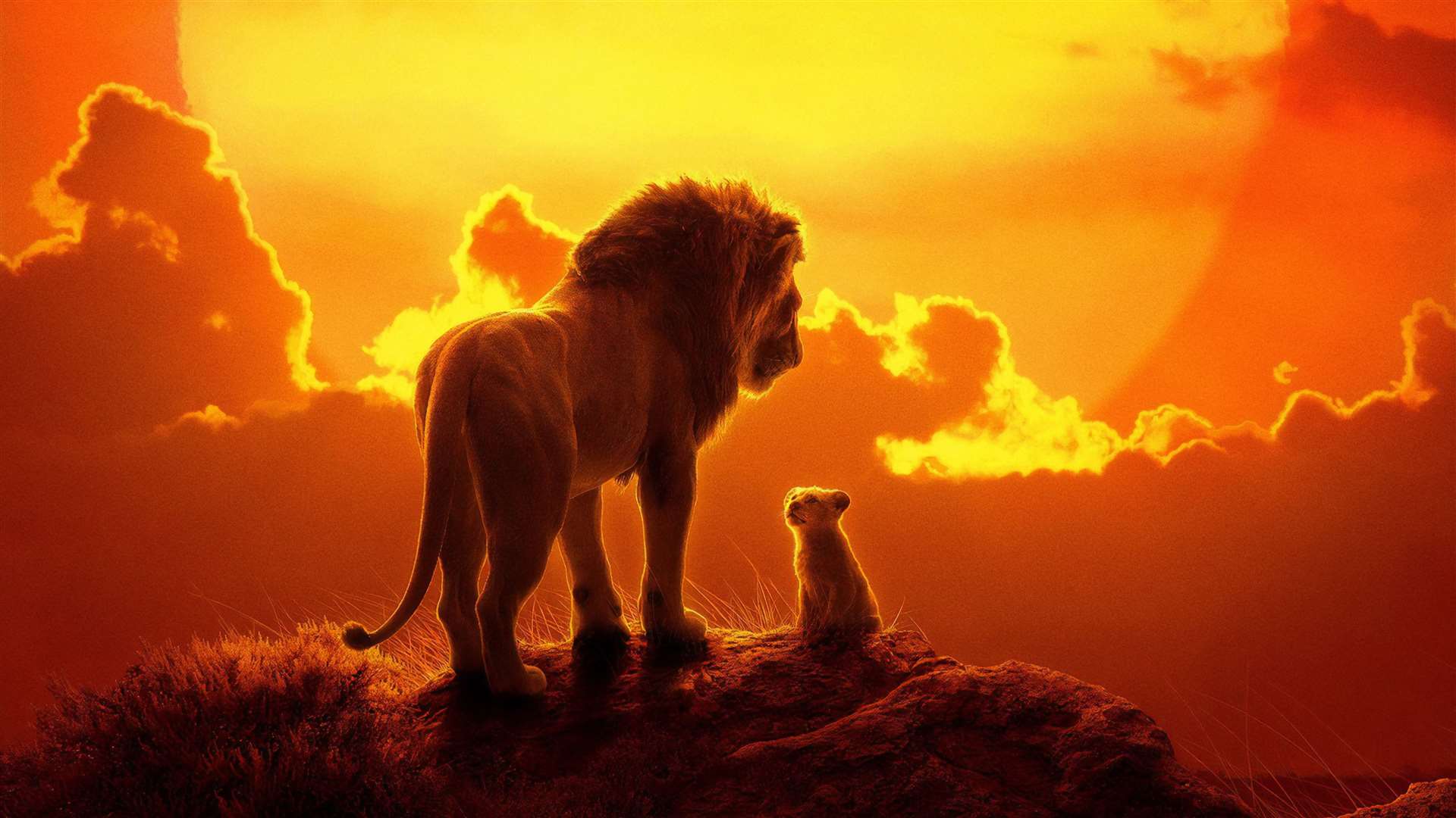 The Lion King is released on July 19