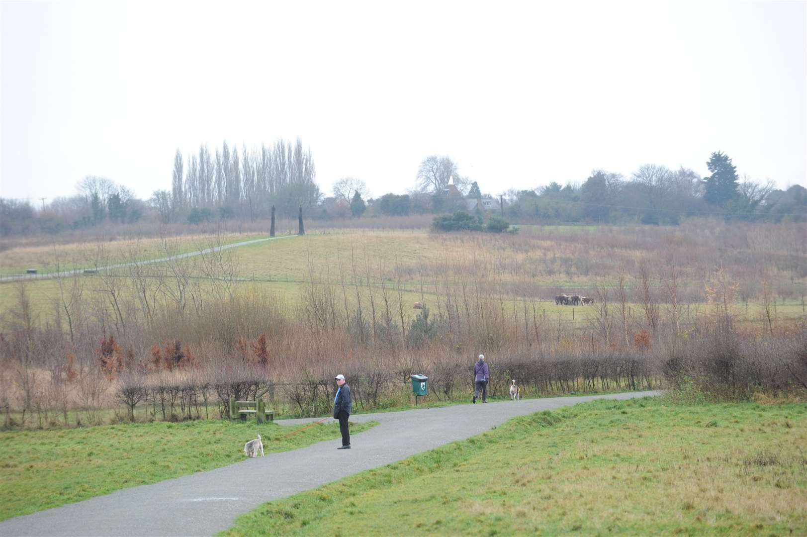 Jeskyns Community Woodland provides lots of open space for dog walkers and families
